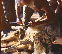Hard Yakka
